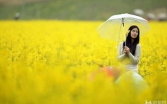 影音先锋男人资源813.